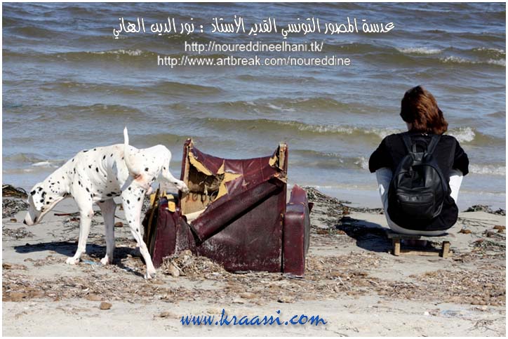 نهاية كرسي فخم - للمصور التونسي القدير الأستاذ : نور الدين الهاني